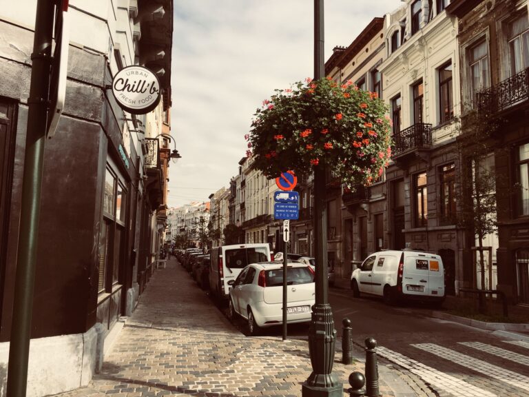 Brukowana ulica w Brukseli z zabytkowymi kamienicami i kwiatami